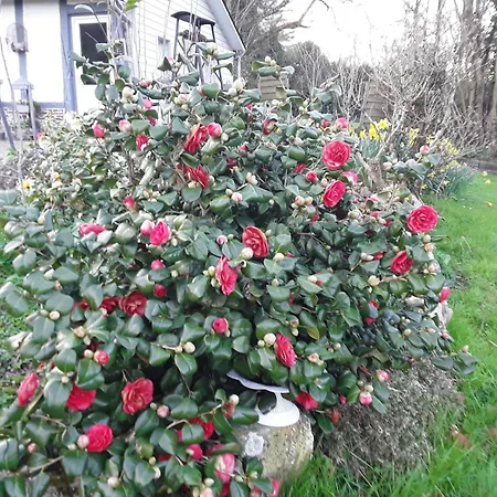 Un Week-end A La Campagne 3* Pont-Audemer