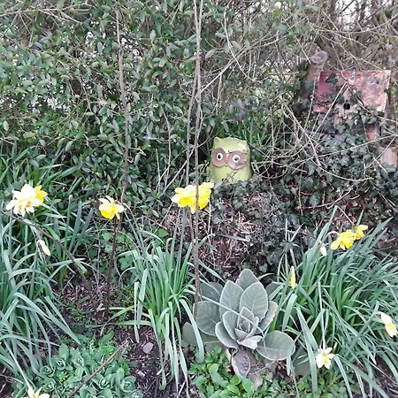 Un Week-end A La Campagne Panzió