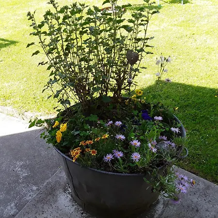 Couette-café Un Week-end A La Campagne *