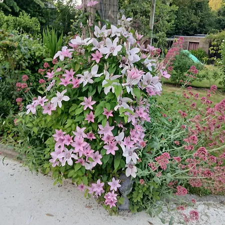 Un Week-end A La Campagne بونت أودوميه